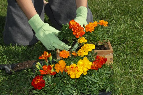 Professional garden clearance team in action