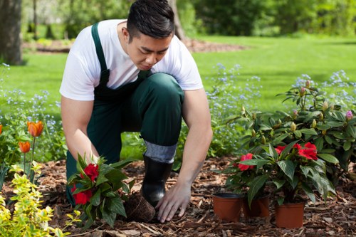 Professional landscapers enhancing a Shoreditch property