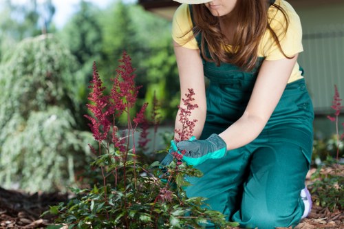Local plant varieties thriving in Shoreditch's temperate climate