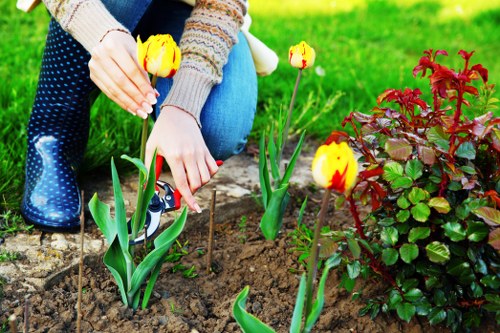 Eco-friendly landscaped area with native plants in Shoreditch
