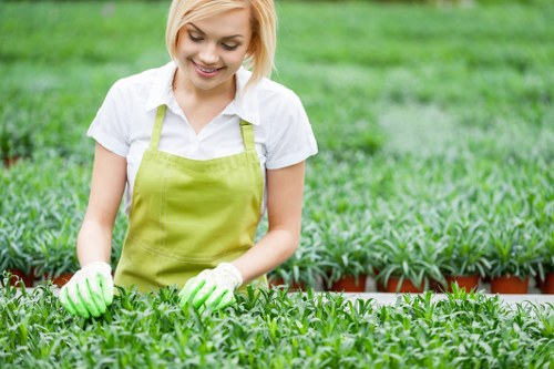 Sustainable gardening practices with rainwater harvesting in Shoreditch