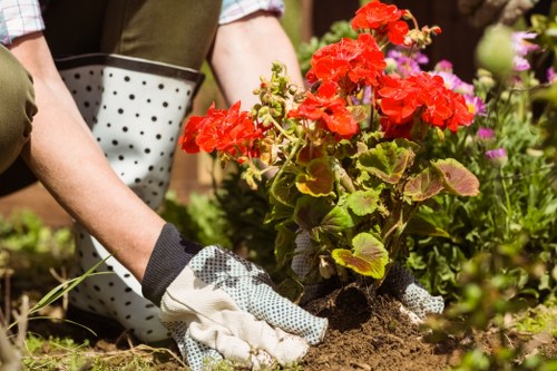Seasonal maintenance of a landscaped garden in Shoreditch