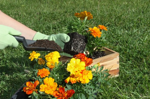 Community garden space in Shoreditch fostering social interaction