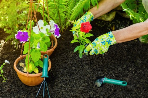 Eco-friendly pressure cleaning in action